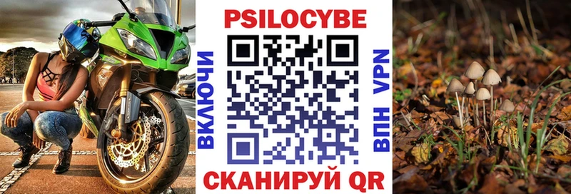ОМГ ОМГ как войти  Петушки  Галлюциногенные грибы Psilocybe 